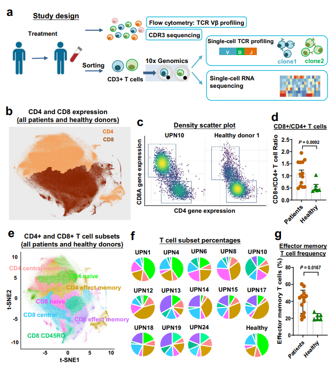 T-LGLL 患者的 AT 細(xì)胞景觀。