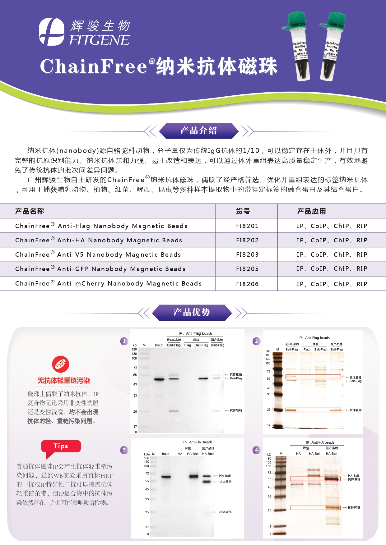 輝駿生物ChainFree?標簽納米抗體磁珠(Flag、HA、V5、GFP、mCherry)-無輕重鏈污染-親和力強