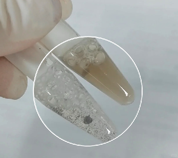 普通磁珠相互聚集結(jié)塊-輝駿生物納米抗體磁珠可有效解決聚團現(xiàn)象